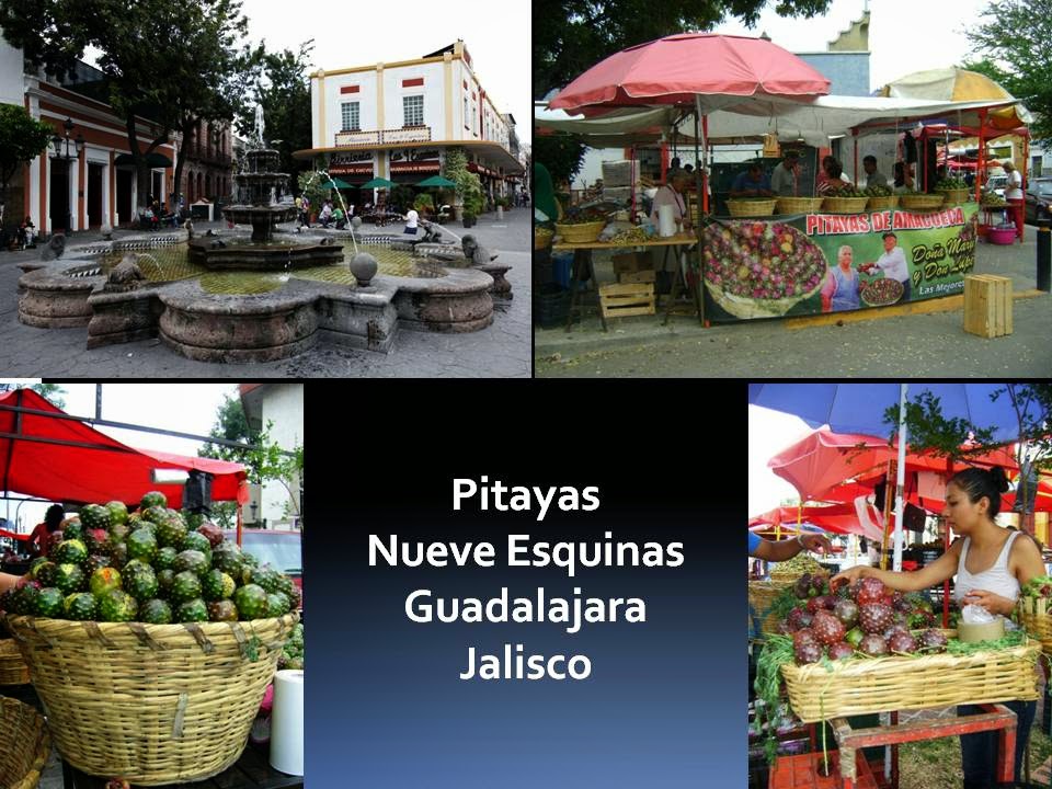 México a través de la mirada de una cubana Pitayas en las 9 Esquinas