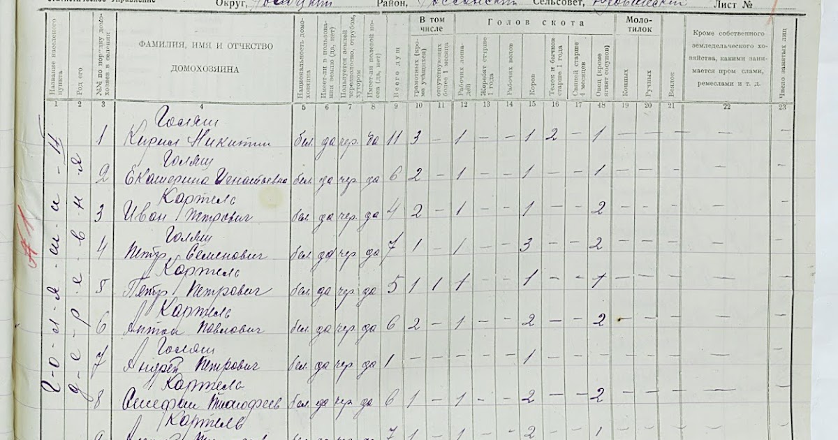 Перепись пофамильно. Поселенный список домохозяев 1926. Поселенный список домохозяев 1926 Беларусь. Переписной лист переписи 1926. Перепись населения 1926 года.