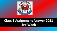 Class 6 Assignment Answer 2021 3rd Week Assignment Answer