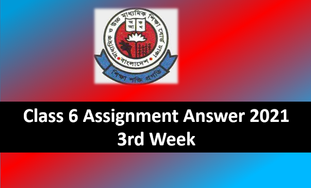 Class 6 Assignment Answer 2021 3rd Week Assignment Answer