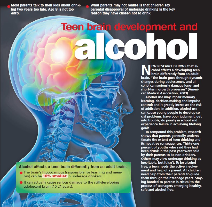 Alcohol And The Teen Brain 103