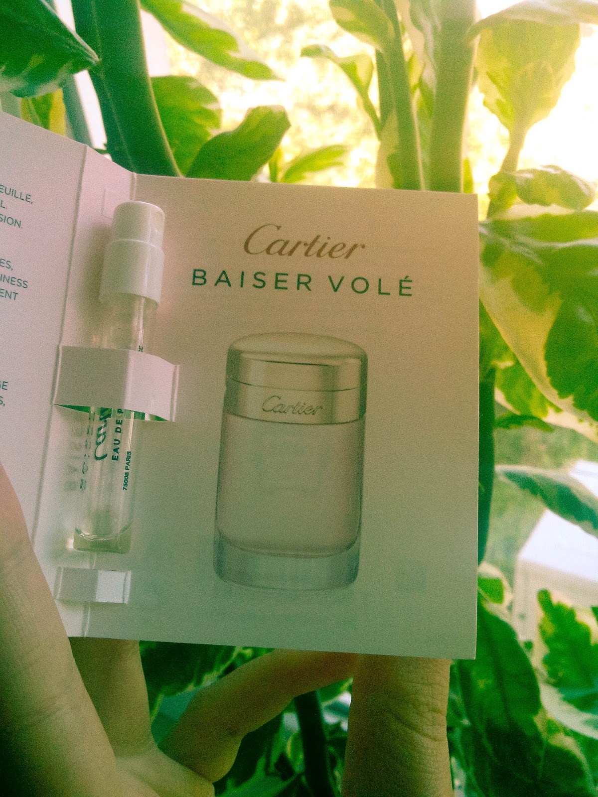 cartier baiser vole notes