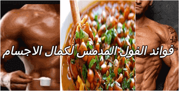 فوائد الفول المدمس لكمال الاجسام (هل الفول المدمس يبنى عضلات حقا !؟) فوائد الفول المدمس لكمال الاجسام (هل الفول المدمس يبنى عضلات حقا !؟)