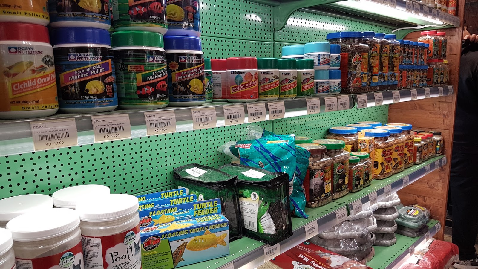 Life in Kuwait Blog Pet Zone in Mahboula