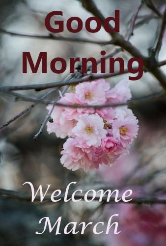 Wish You  Good Morning Welcome March.