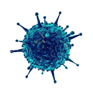 o que é o coronavirus