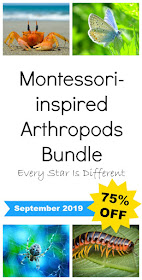 Montessori-inspired Arthropods Bundle