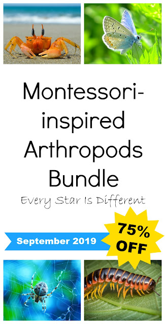 Montessori-inspired Arthropods Bundle