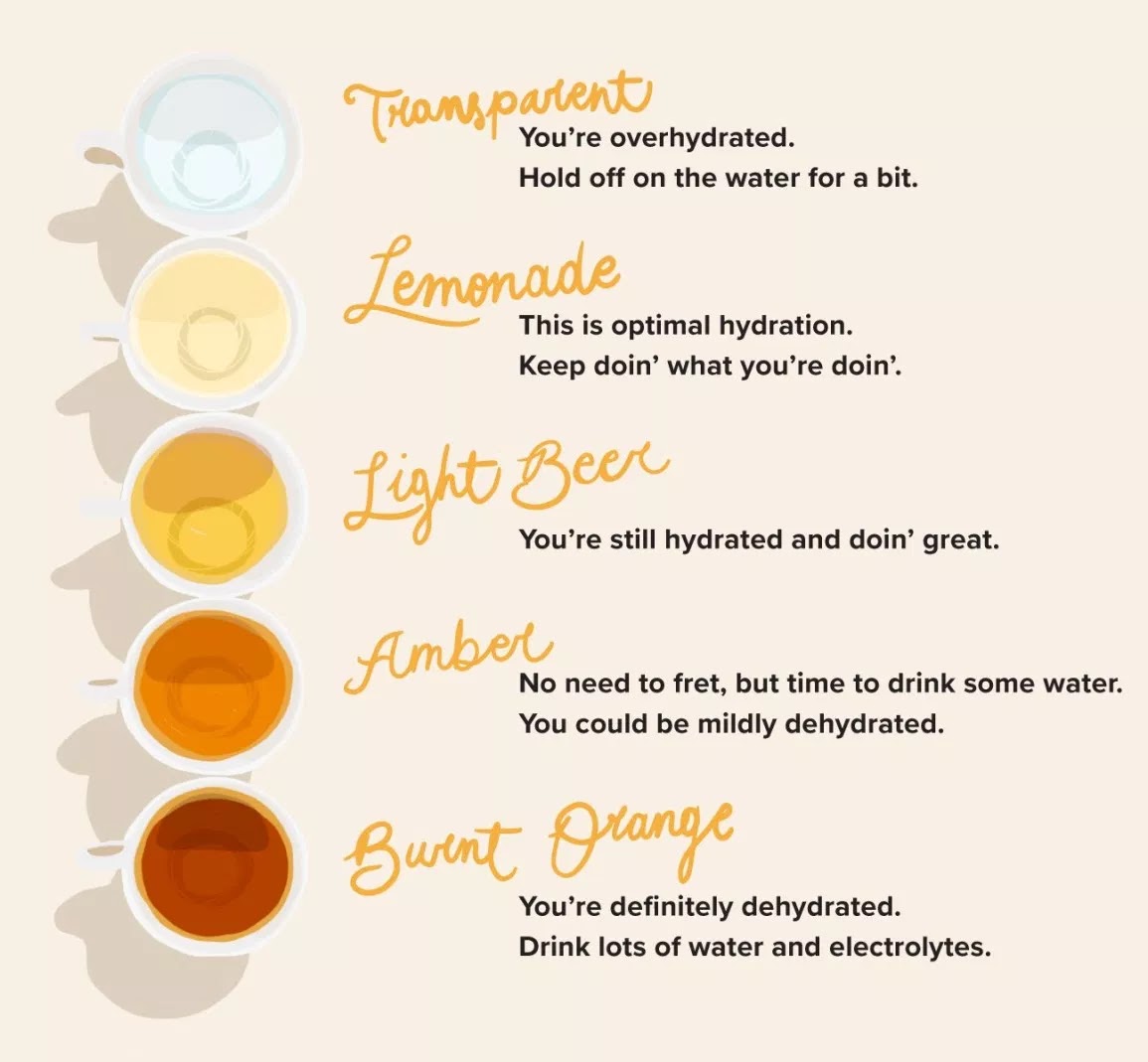 What every color of your urine and frequent urination can tell you