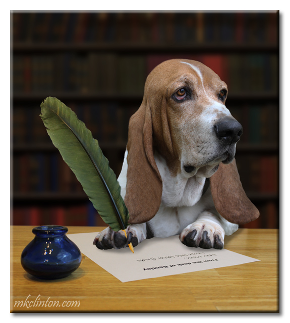 A dog essay