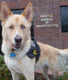 Bir FBI köpeği