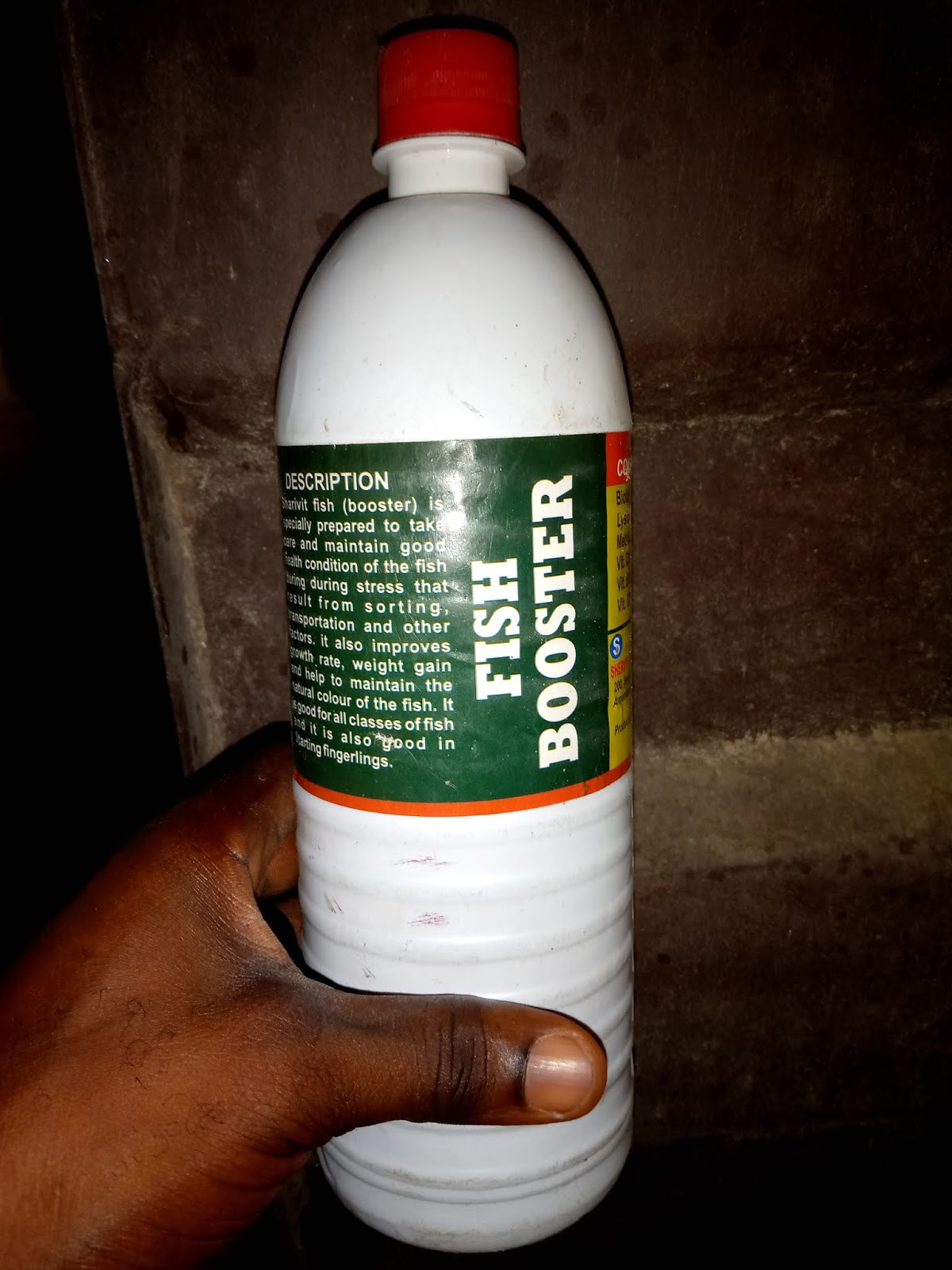 CATFISH DISEASES AND TREATMENT