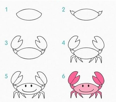 Hinh ve con cua theo tung buoc