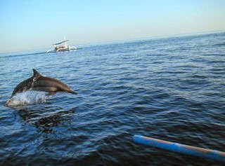 One of my function yesteryear Bali tours programme is Bali local traditional angling tour at northward Bali amongst Bali Island place to visit: Bali Fishing Tour