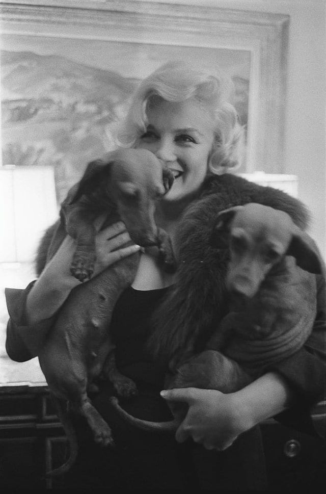 Fascinating Vintage Photos of Classic Stars and Their Dogs ~ Vintage ...