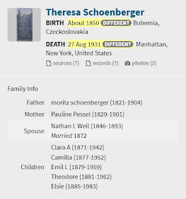Screen capture of an Ancestry.com tree hint for Theresa Schoenberger.