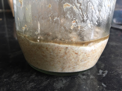 Sourdough starter with a layer of water on top