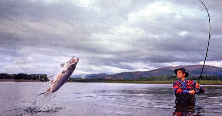 6+ Arti Mimpi Mancing Ikan Besar Tapi Lepas