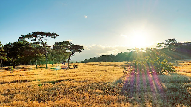 Ngất ngây với những hình ảnh đẹp của núi rừng Tây Nguyên Ngất ngây với những hình ảnh đẹp của núi rừng Tây Nguyên