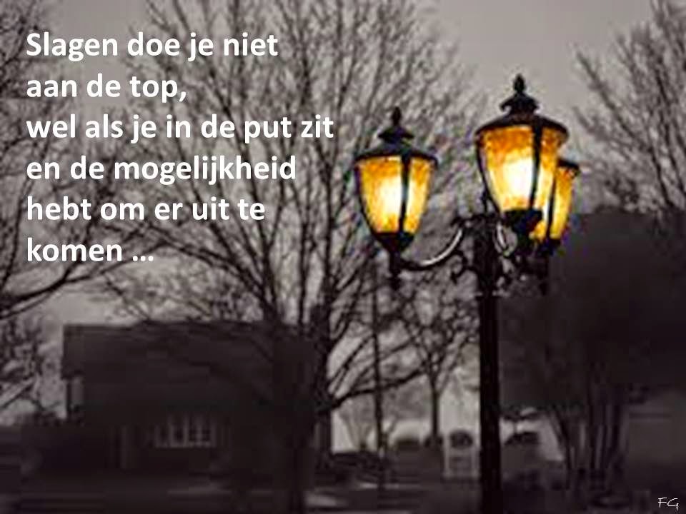 Inspirerende quotes met beeld Door het bos de bomen niet meer zien Inspirerende quotes met beeld Door het bos de bomen niet meer zien