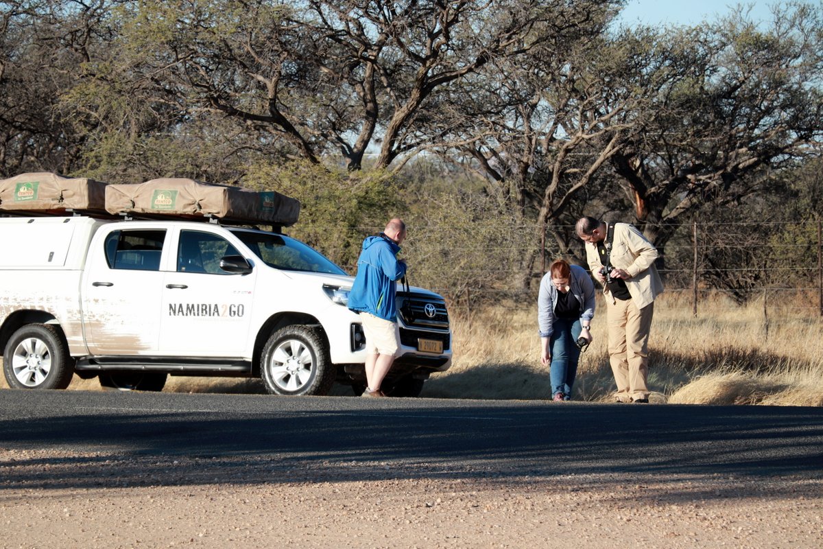 Вшестером по Намибии на джипах в пандемию