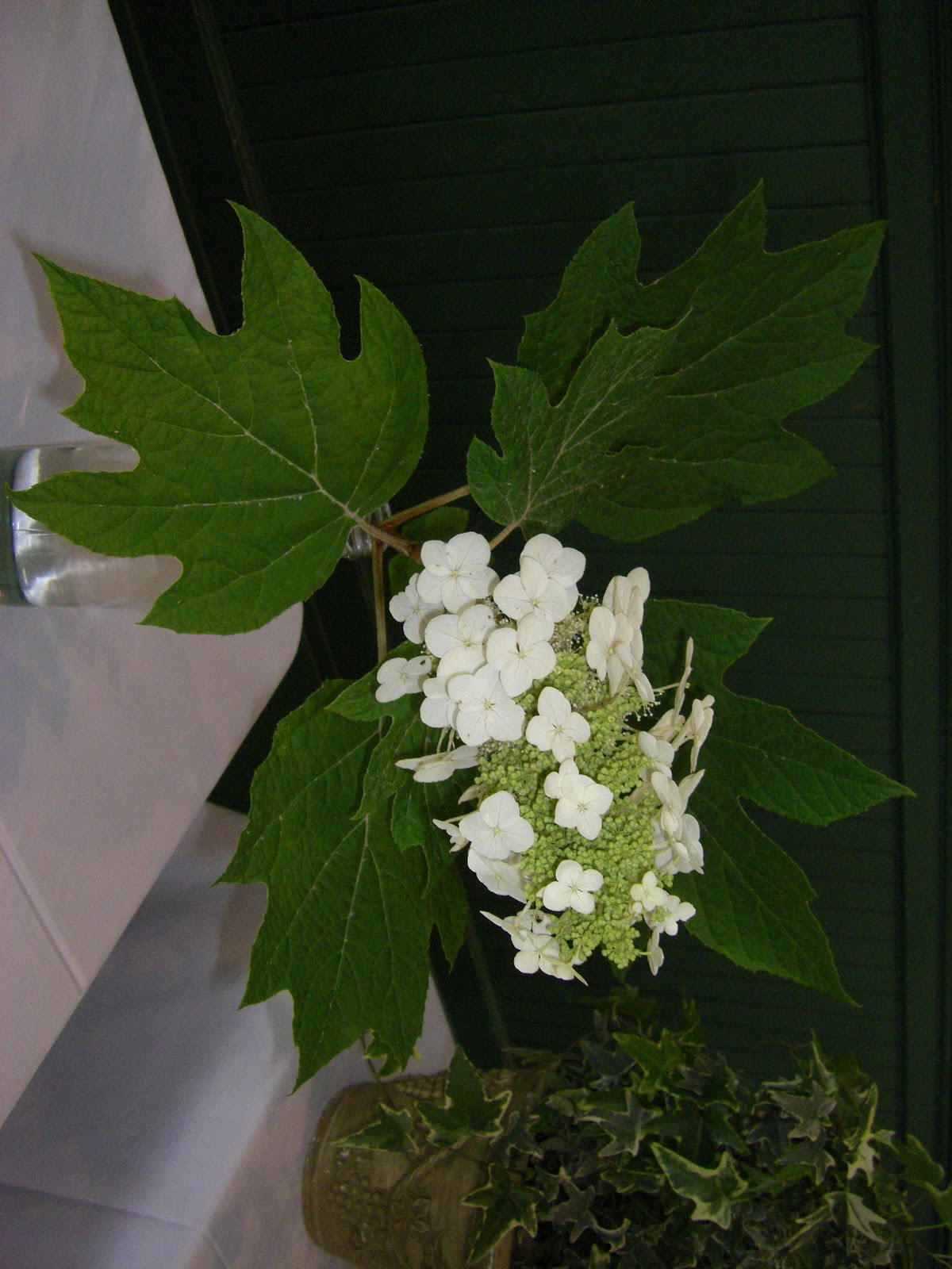 Dancing On The Journey! Warrenton Garden Club's Flower Show