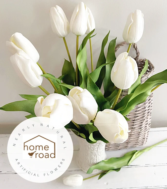 white tulips overhead view with overlay