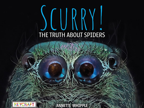 Scurry! The Truth About Spiders