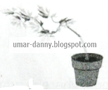 36+ Contoh Soal Pg Biologi Kelas Xii 51 Background