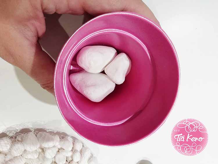 Como-hacer-un-cactus-de-piedras