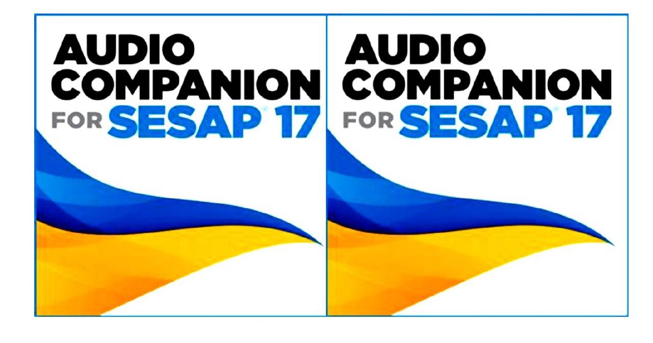 sesap 13 audio companion sesap 13 audio companion