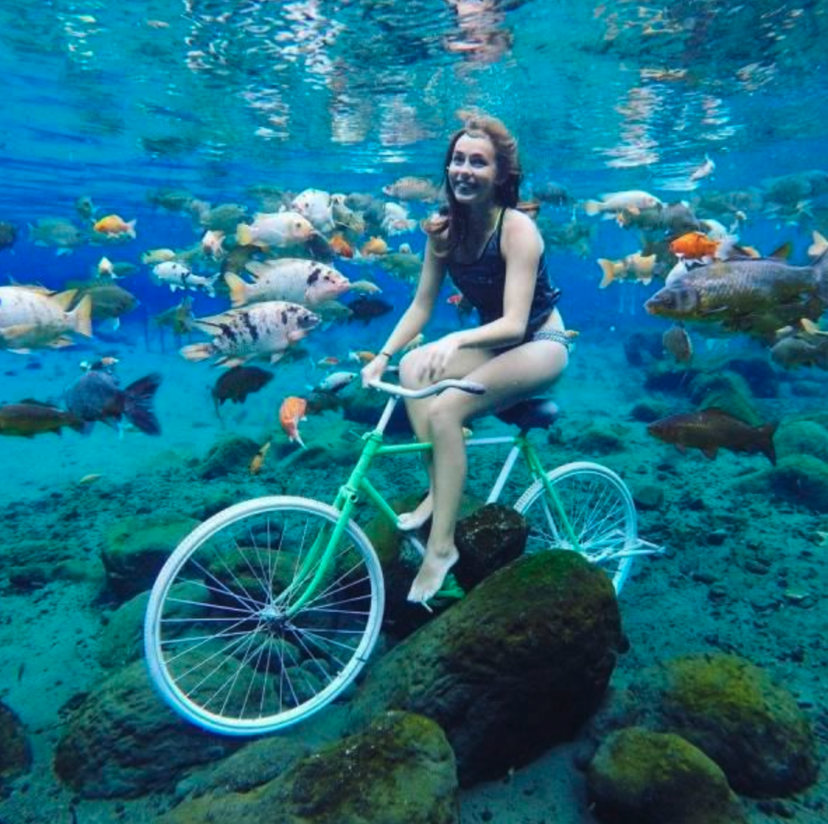 Велосипед под водой. Велосипеды под водой. Канкун мексика подводный музей. Велосипеды под водой. Подводная гонка на велосипедах.