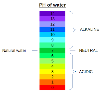 How To Raise pH in Aquarium Naturally How To Raise pH in Aquarium Naturally