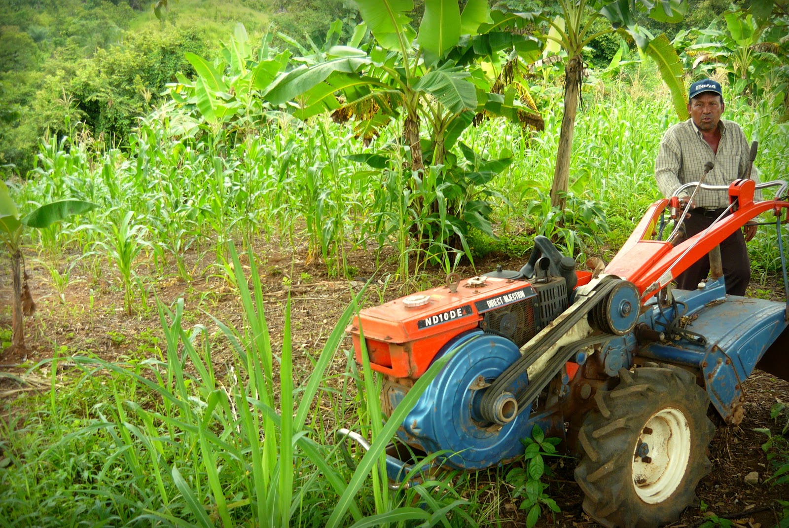 Ventajas del uso de la Agricultura