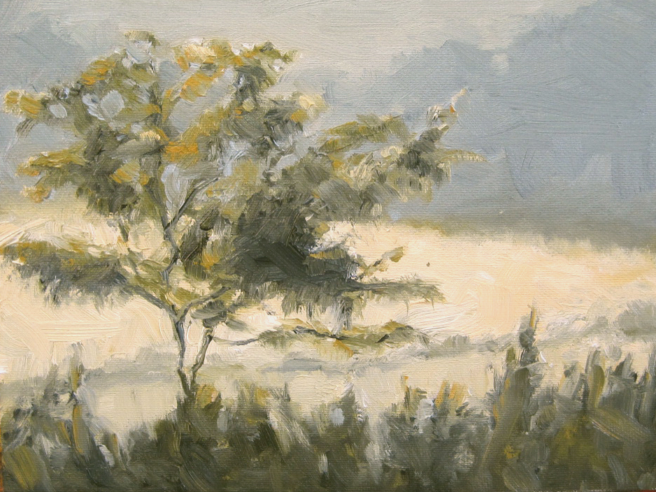 Julie Kirkland Fine Art "Origins", Colorado Artist Julie Kirkland