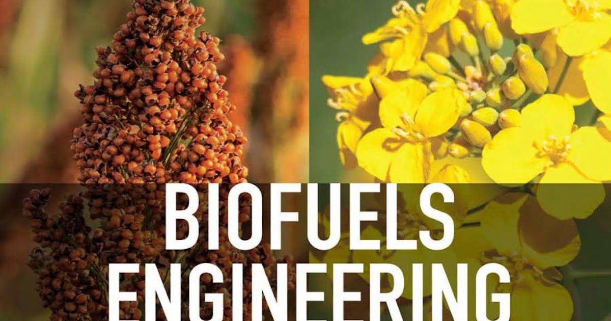 Engineering Library Ebooks Biofuels Engineering Process Technology