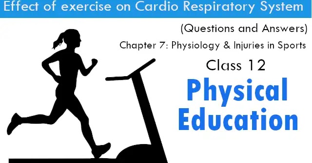 Cbse Papers Questions Answers Mcq Effect Of Exercise On Cardio Respiratory System Cbse Class 12 Physical Education Chapter 7 Physiology Injuries In Sports Questions And Answers Eduvictors Physicaleducation