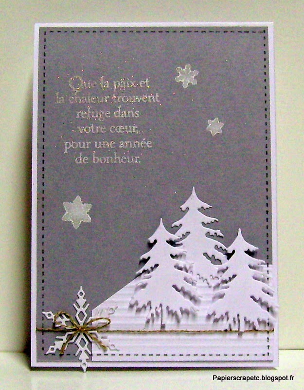 papierscrapetc: Des sapins, des flocons de neige et hop voilà une carte 