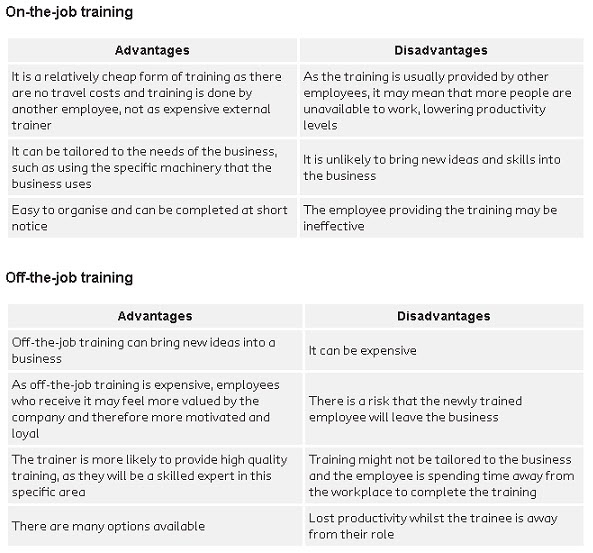 Advantages and Disadvantages of Training Methods & Industry Experience