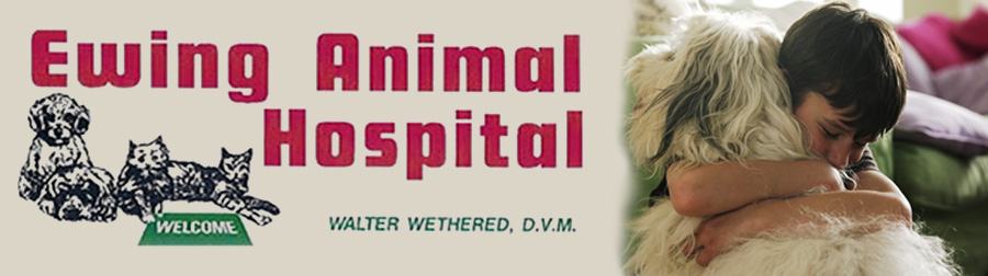 Ewing Animal Hospital