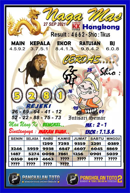 ಈ Taypak hk kuda lari hari ini  ಈ 