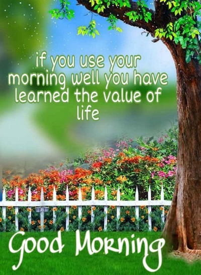 Top 50 Good Morning Quotes to Start the fresh Day Top 50 Good Morning Quotes to Start the fresh Day