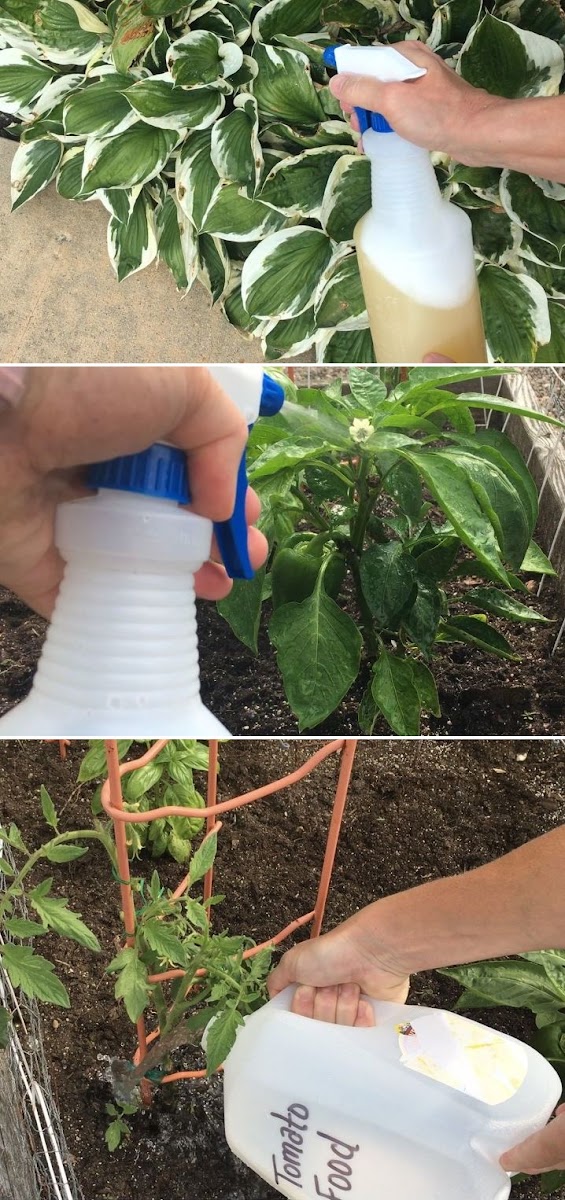 Epsom Salt for Your Plants Inside and Out