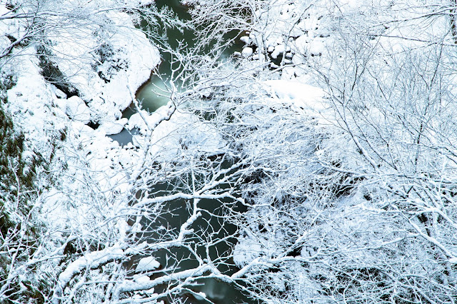 #photo #landscape #sigma #foveon #sdquattroh #japan #yamagata #tsuruoka #写真 #風景写真 #山形帝國 #山形県 #鶴岡市