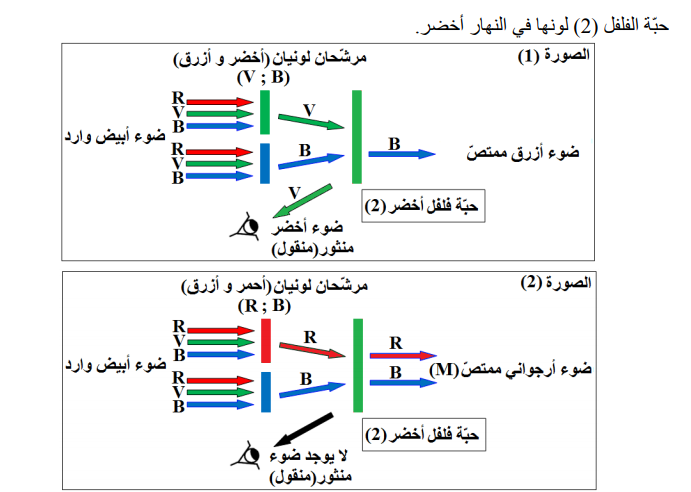 حل تمرين 15 صفحة 130 الفيزياء للسنة الثالثة متوسط - الجيل الثاني