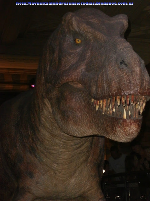 Sala de los dinosaurios del Museo de Historia Natural de Londres.
