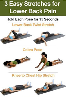 lower back exercises for pain relief