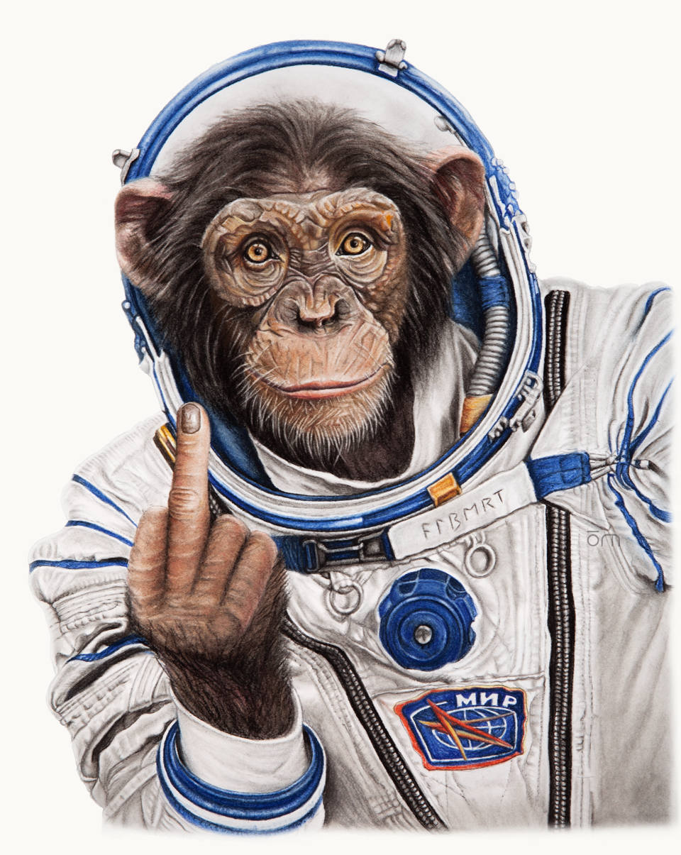 El Astronauta Mono Es Un Símbolo De Ingenio, Aventura Y Coraje. Esta  Ilustración Representa La Búsqueda De Un Simio Para Explorar La Frontera  Final, Trascendiendo Los Límites De Lo Que Se Creía