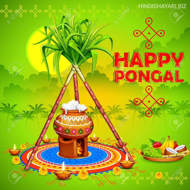 Happy Pongal,Happy Pongal Wishes in English, Happy Pongal Quotes in English, Happy Pongal Shayari Status in English