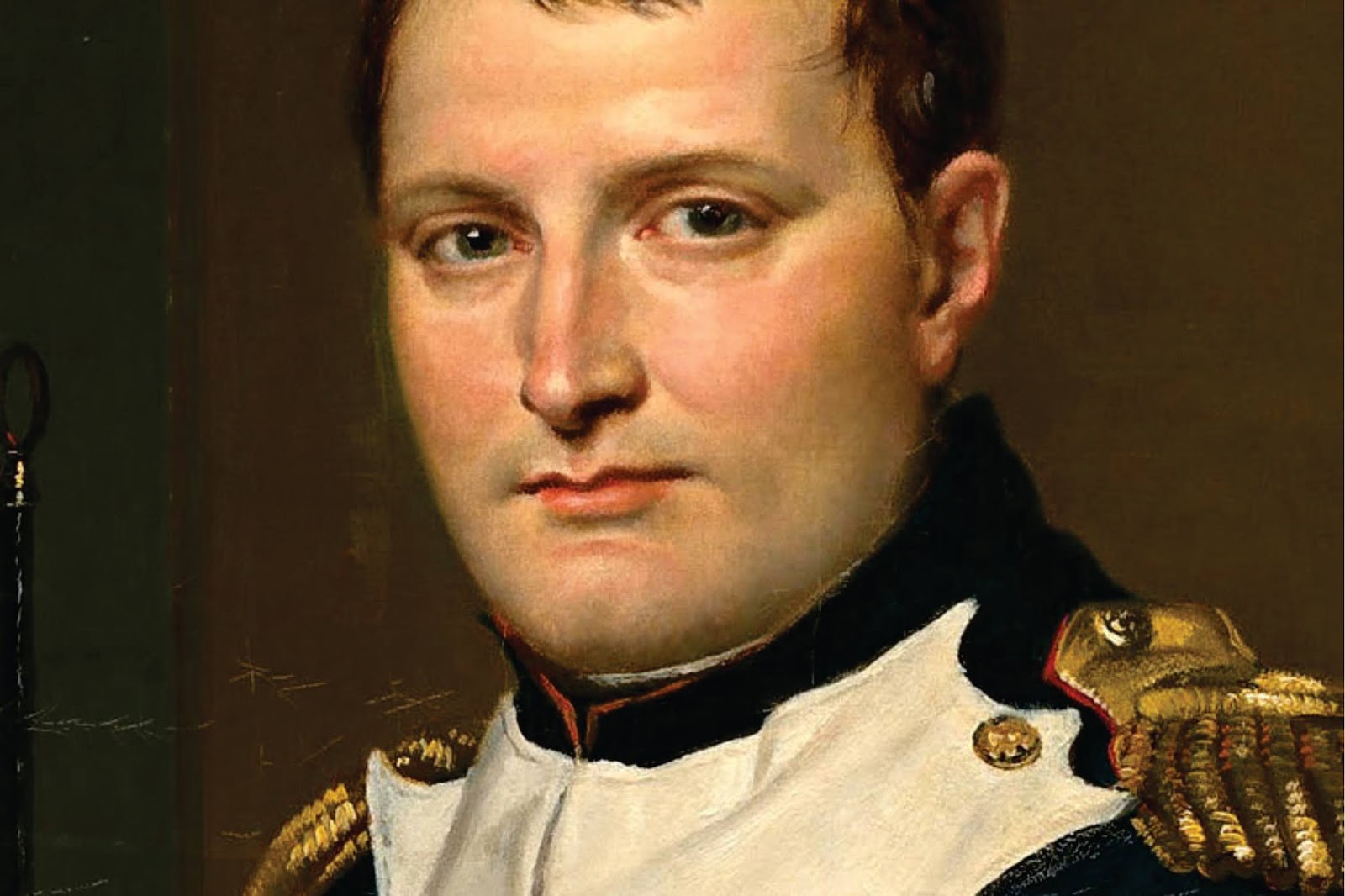 Консулы наполеона бонапарта. Наполеон Бонапарт портрет. Наполеон риволи.